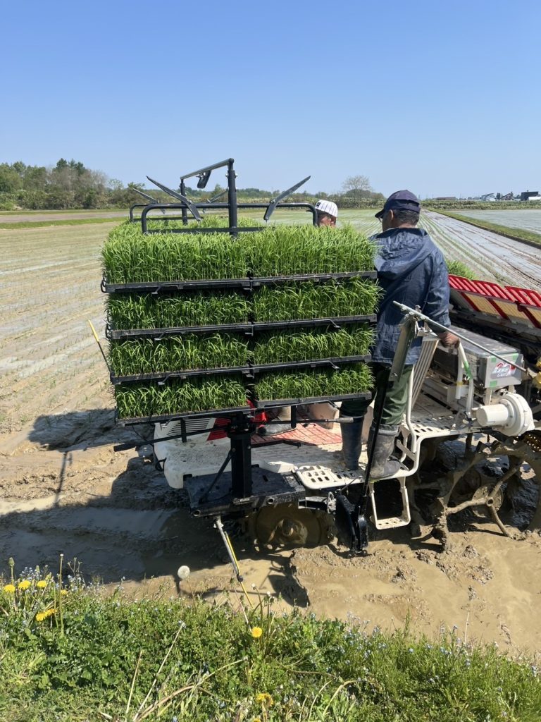 田植え準備の様子