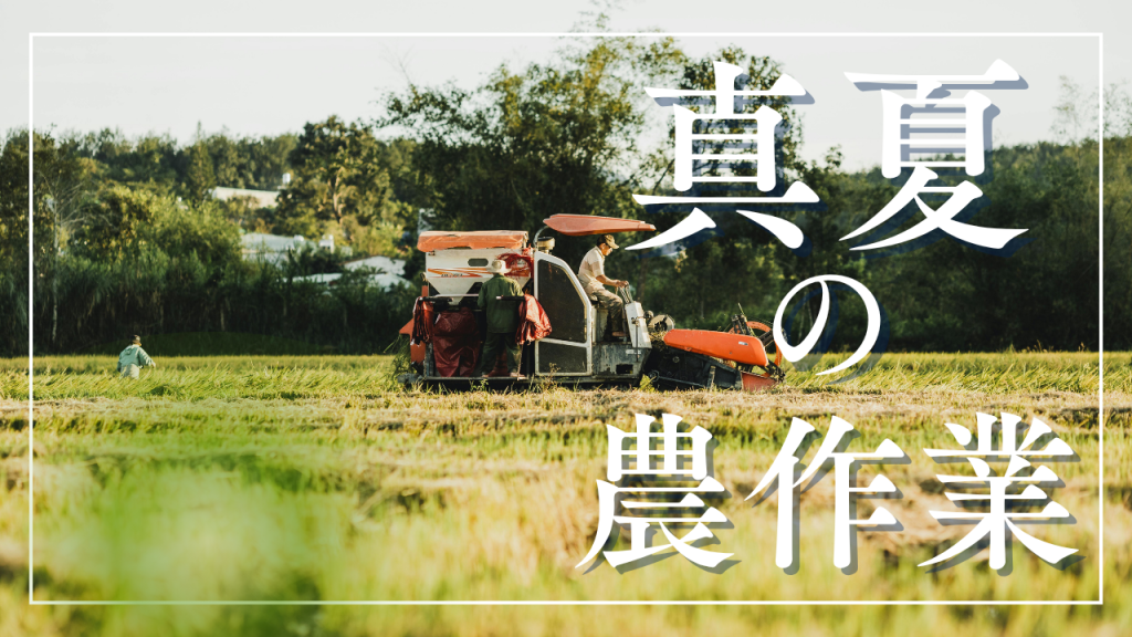 真夏の農作業で注意したいポイント