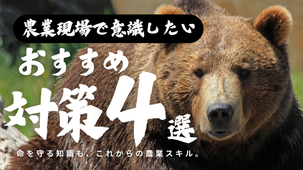 農業現場でおすすめしたい熊対策4選