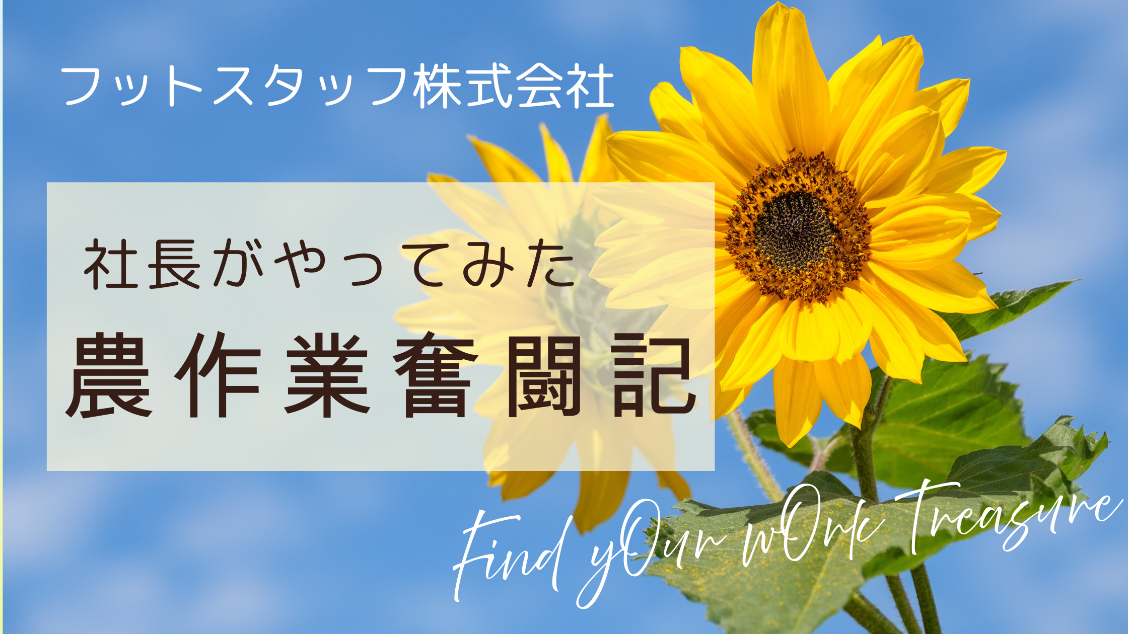 フットスタッフ株式会社 社長がやってみた 農作業奮闘記