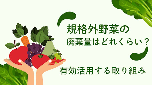 規格外野菜の廃棄量はどれくらい?有効活用する取り組みについて解説!