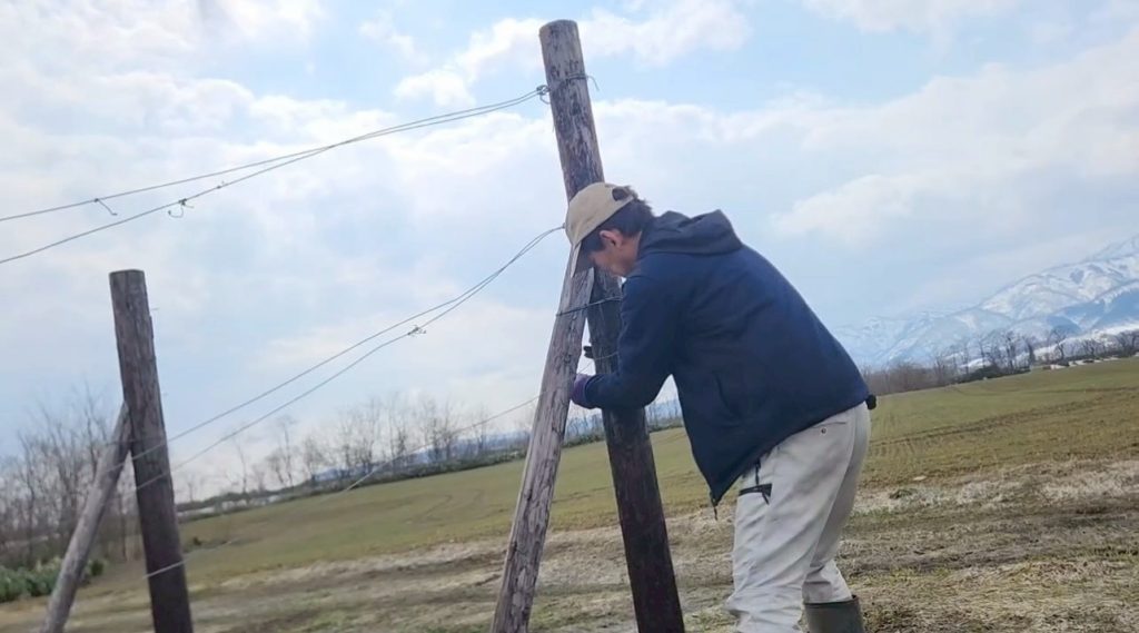 北海道　フットスタッフ　農作業
