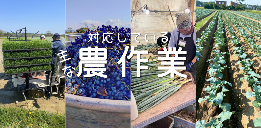 フットスタッフが対応している主な農作業