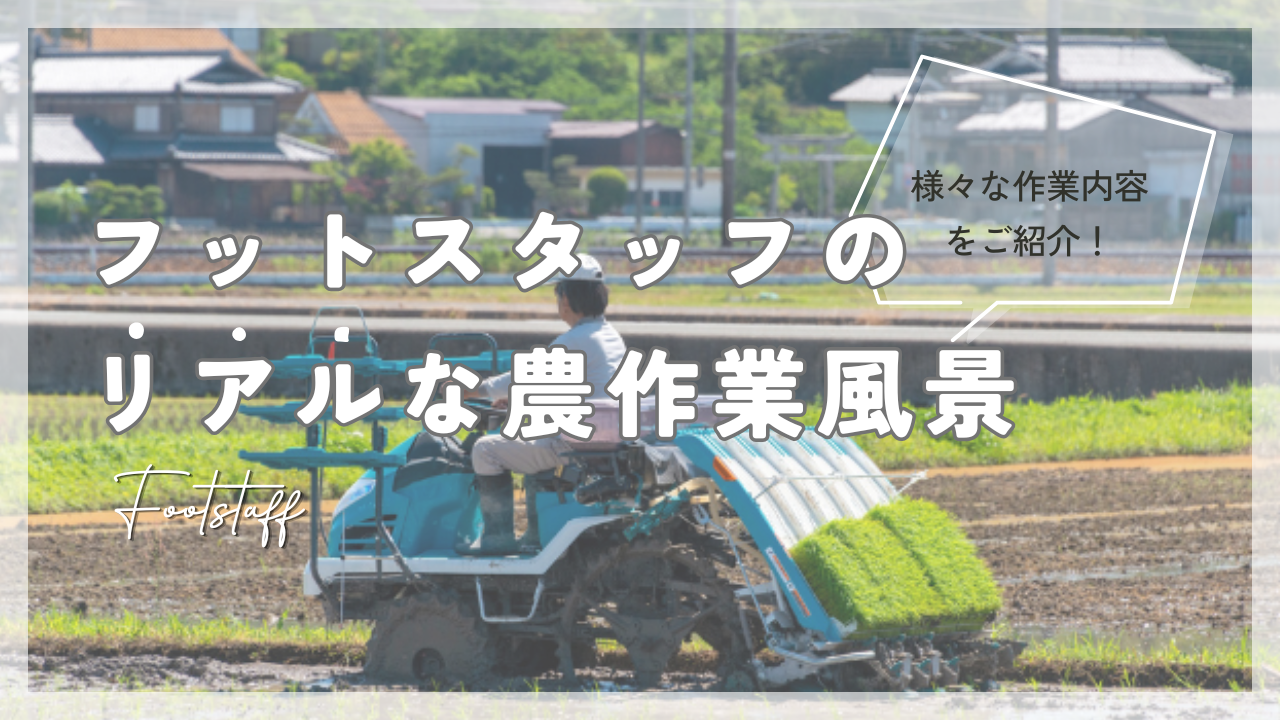 フットスタッフ農作業のリアル