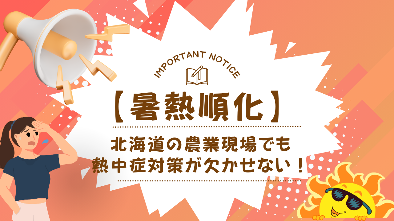 暑熱順化って？北海道の農業現場でも熱中症対策が欠かせない！フットスタッフ的見解は