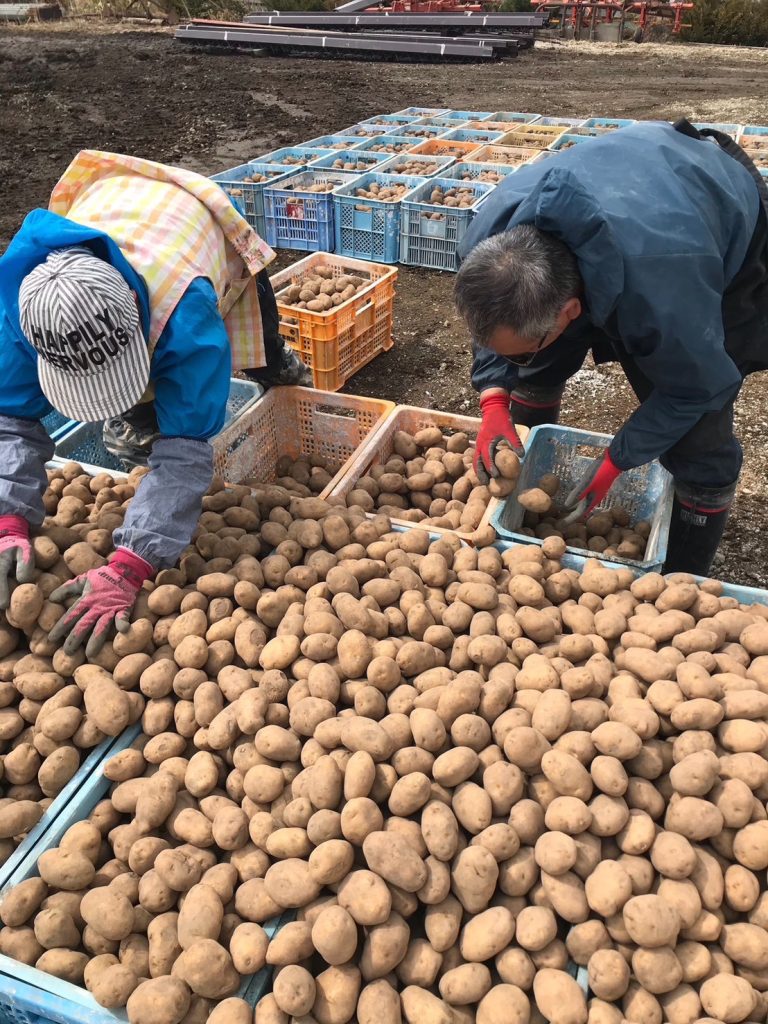北海道　フットスタッフ　農作業