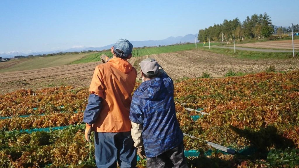 北海道　フットスタッフ　農作業